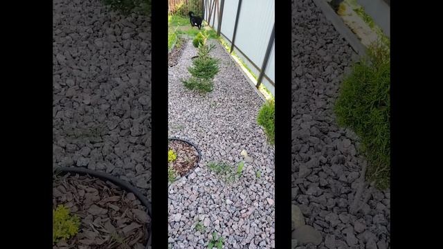 И снова вся в работе