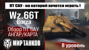 Wz.66T Burza обзор прем ПТ САУ Польши | оборудование Burza бронирование | перки Бурза мир танков