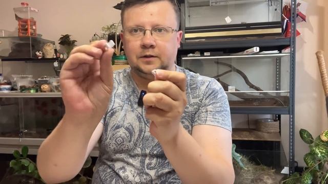 Распаковка покупок с WILDBERRIES на 1,5 литра! Сборка фитолам смотреть онлайн