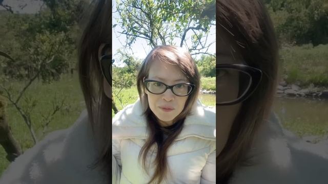 Ценности: iPhone 16 против недвижимости смотреть онлайн