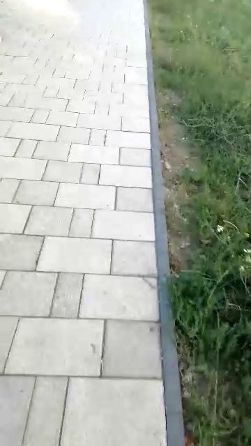 маленький волк со школы ❤️ смотреть онлайн