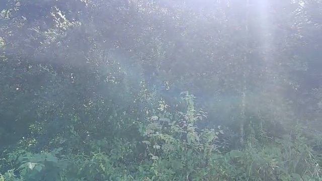 ЗУ :2098 д. Толстяково смотреть онлайн