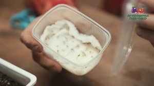 СЕКРЕТЫ КАЧЕСТВЕННОЙ РАССАДЫ ТОМАТОВ