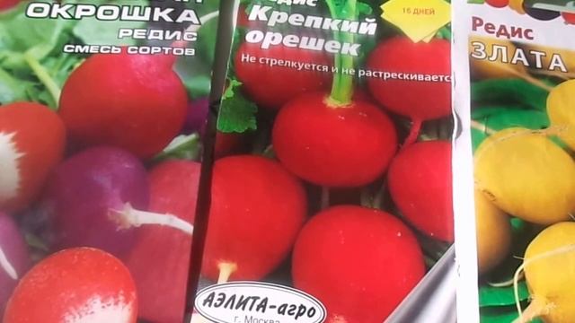 Как получить высокий урожай редиса и иметь на столе св