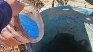 Как и когда обработать персики весной?