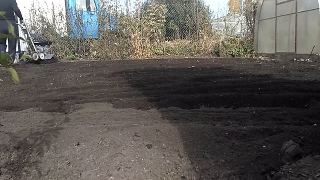 Культиватор Крот  пашет огород .