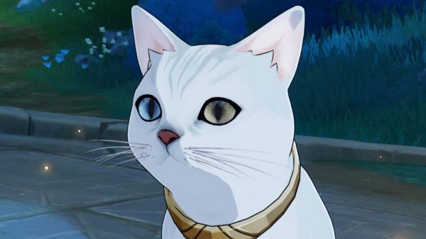 Genshin Impact. Нод Край. Лаума