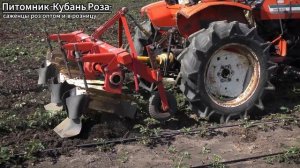 ДЛЯ ЧЕГО РЫХЛИТЬ ПОЧВУ? 3 способа как взрыхлить почву о