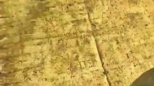 Найпростіша приманка для бджіл. Рої залітають навіть ?