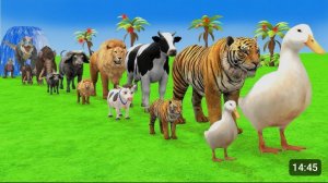 🤪Смешная игра 🤪😜Long Slide Game😜 вместе с веселыми животными 🪿🦬🐘🐮🐯🦓