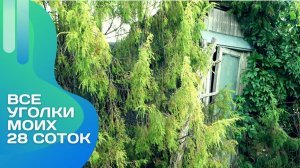 28 соток урожая и стройки: показываю все уголки