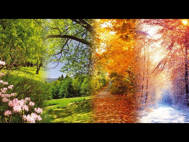 Людмила - Времена года 2017 смотреть онлайн