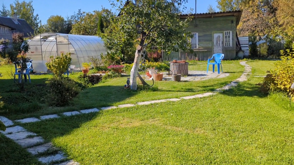 15-09-2025.Дача.Сажаю новеньких.. Гортензию Тую и лилии. смотреть онлайн