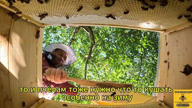 Не откачивай мед пока не посмотришь это видео. Инструк