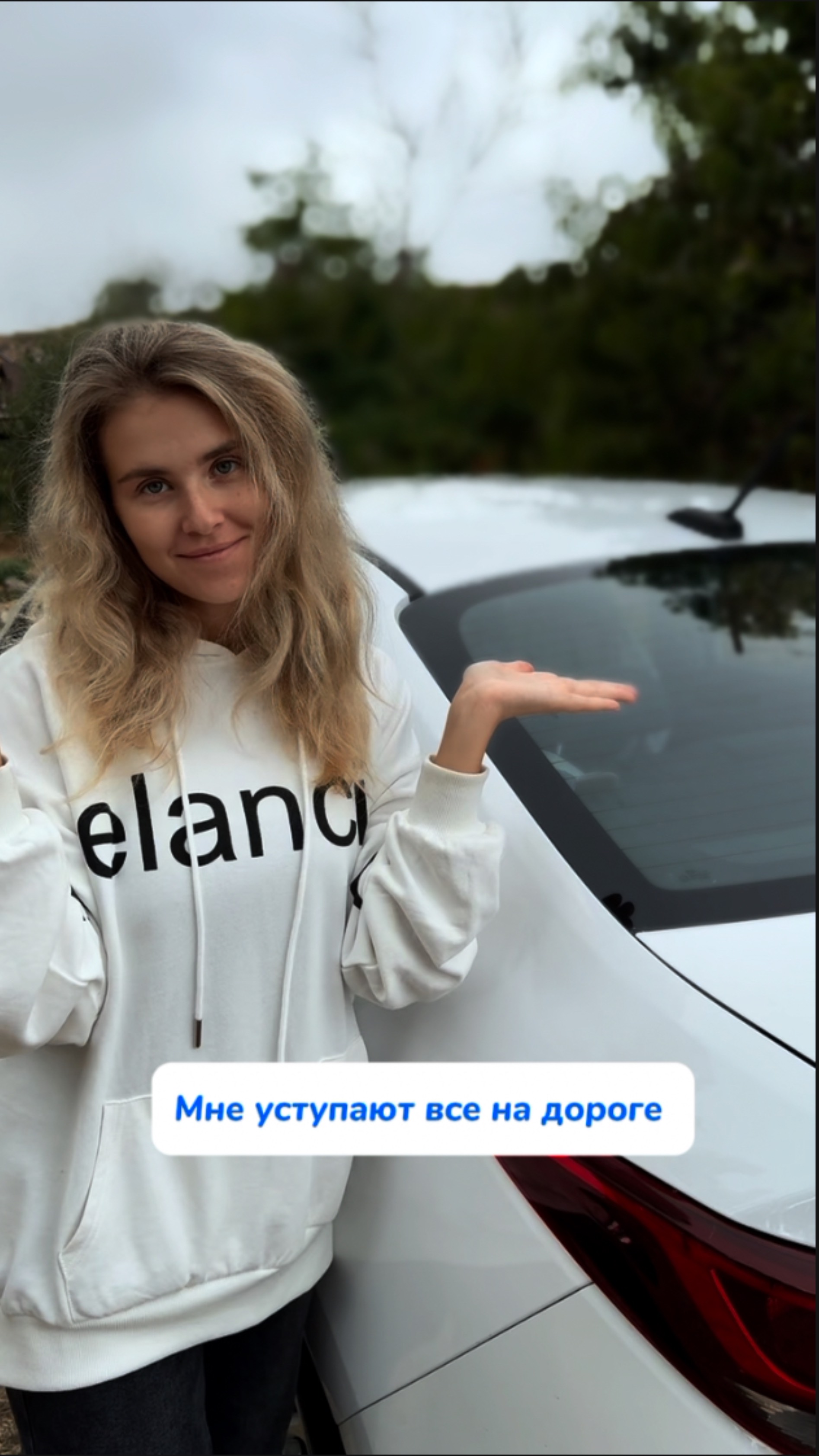 WB #234577722 Ozon #1664064287 #Чистящаяпаста #наклейканамашину #киарио