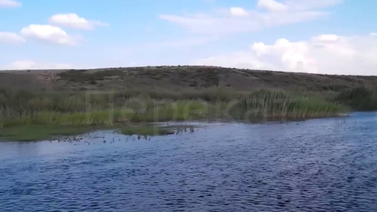 вспоминая лето! смотреть онлайн