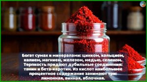 СУМАХ: Восточная специя с удивительными свойствами