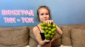 Пробуем японский виноград Тик - Ток .
