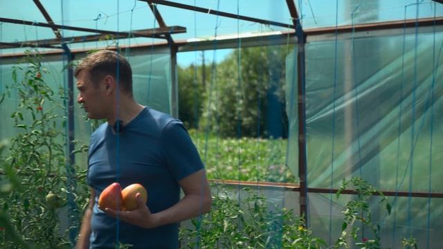 Как превратить ОГОРОД в настоящий бизнес? Овощеводств смотреть онлайн