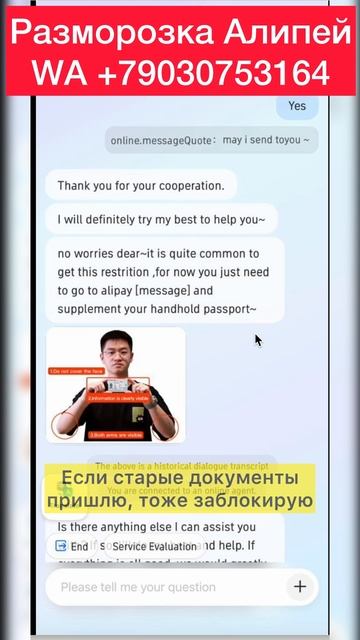 Как мы размораживаем Алипей смотреть онлайн