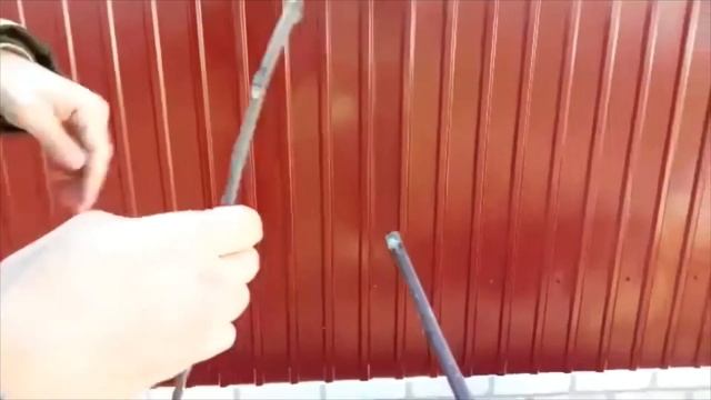 Grafting apple tree, spring 2020 / Прививка яблони весной смотреть онлайн