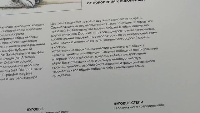 фестиваль 