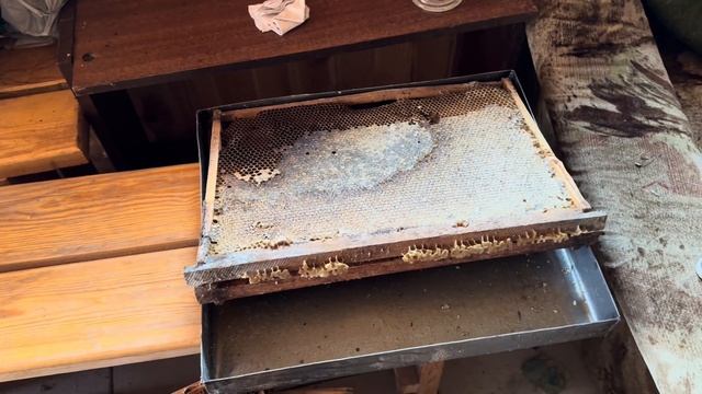 Весенние работы на пасеке смотреть онлайн