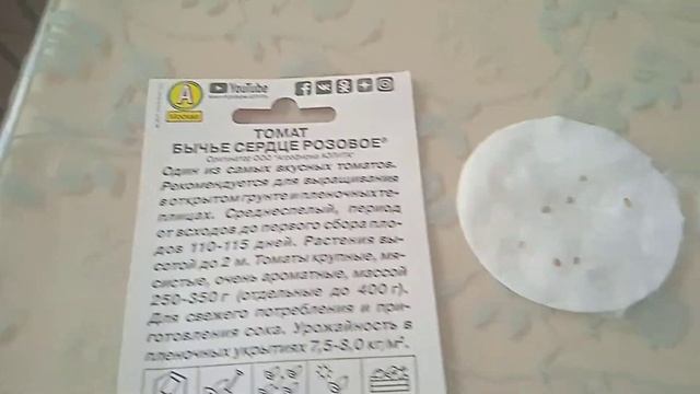 @user-iq3sy2bq8l Посев томатов на рассаду Проращивание семян смотреть онлайн