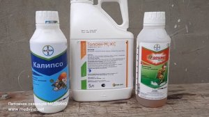 Инсектицид Калипсо: обзор препарата