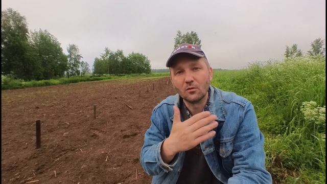 Как избавиться от сорняков на картофеле? Самый просто? смотреть онлайн