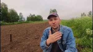 Как избавиться от сорняков на картофеле? Самый просто?