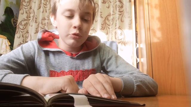 Что такое кустарники? Довайте разберемся