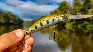 ЗАГНАЛ ЕГО НА ГЛУБИНУ СРАЗУ УДАР, а в ЛЕСУ ГРИБНОЕ ЦАРСТВО. Рыбалка на спиннинг в 2025