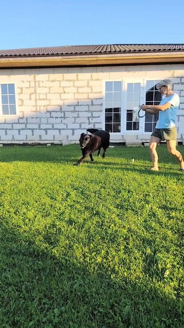 Ожидание и реальность