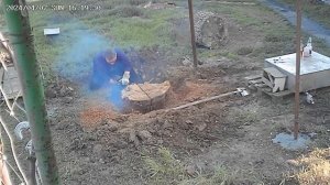 Как избавиться от пня на участке. Спил пня ниже земли.