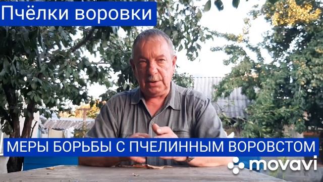 Пчелинное воровство. смотреть онлайн