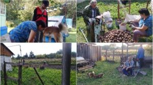 11. 09. 2025. Жизнь в деревне: События дня - Всё сделали, что планировали. Family Vlogs