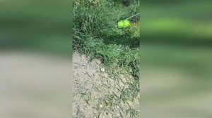 Триммер бензиновый Ставмаш СТ-5500