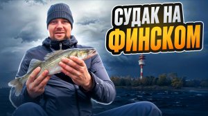 Осенняя Рыбалка на Судака. Поймали сети на Финском Заливе. Рыбалка с Лодки