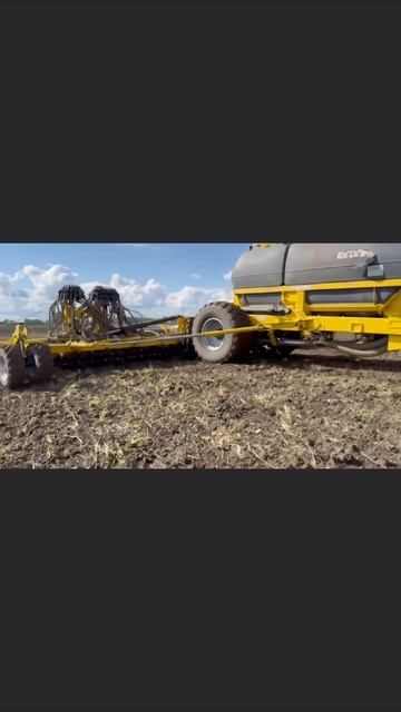 Засеваем с Efecta!