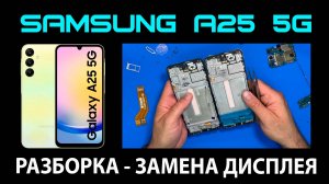 Samsung Galaxy A25 5G (A256E) - Замена дисплея / Разборка