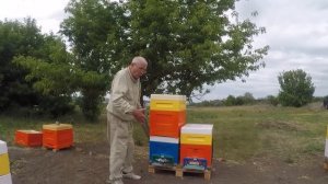 Секретная техника пчеловодов Финляндии против роения