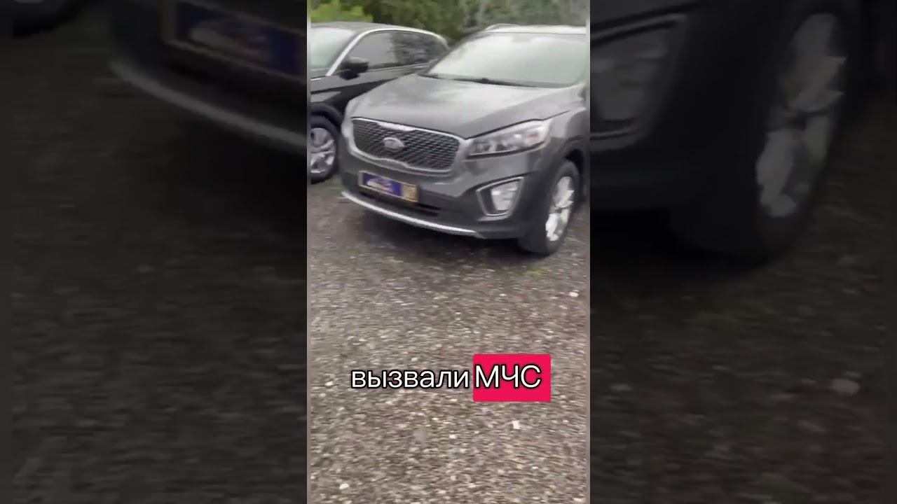 Курьезы на работе ) котята-слесари #automobile #автомосква смотреть онлайн