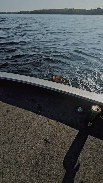 Щука ))) смотреть онлайн