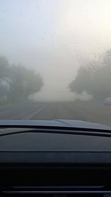 Утро туманное 11-09-2025 смотреть онлайн