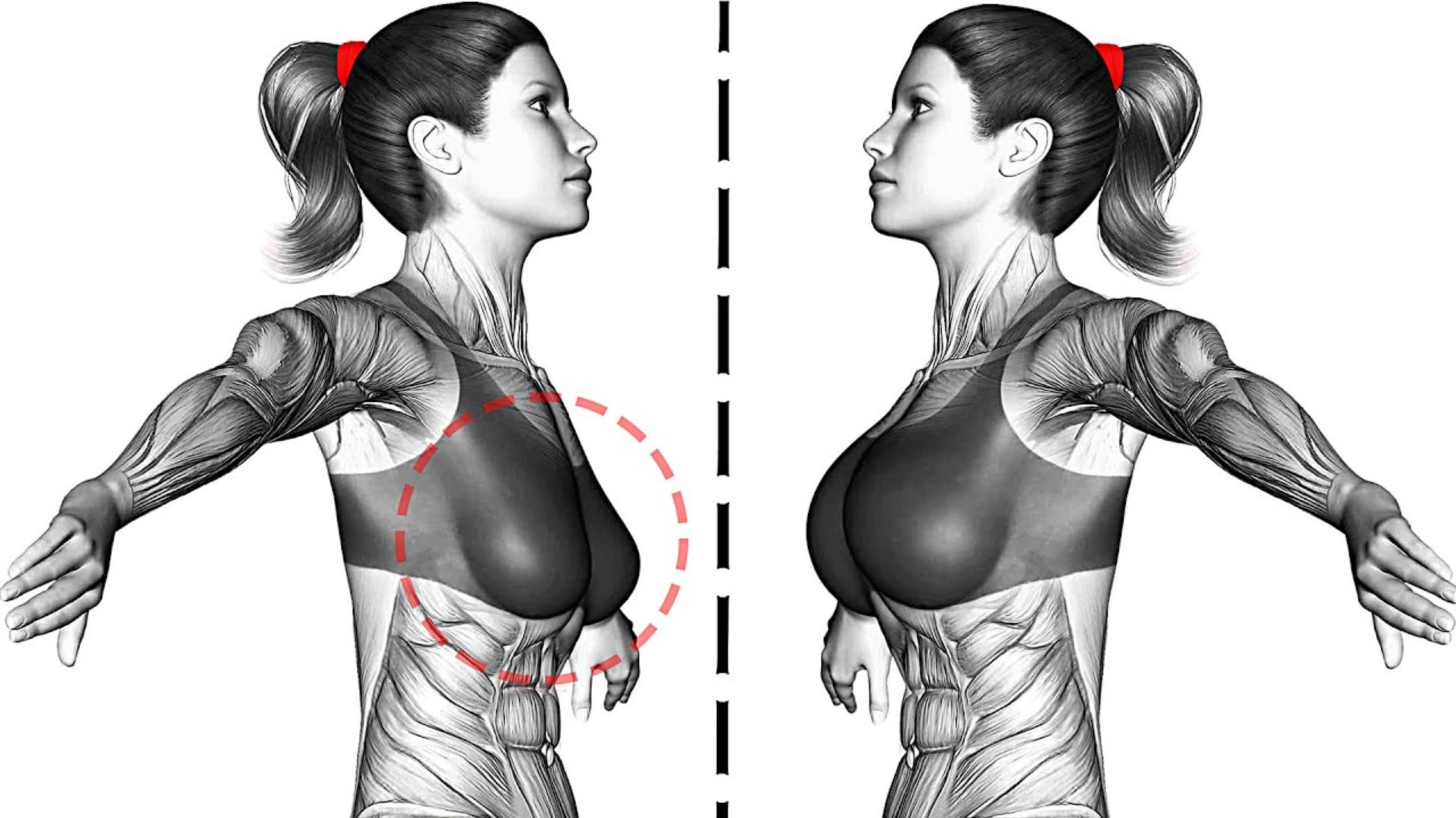 Эффективная программа тренировок для подтяжки Груди смотреть онлайн
