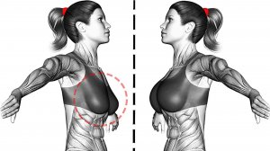 Эффективная программа тренировок для подтяжки Груди
