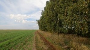 Там, на неведомых дорожках. (Часть №2). 😊