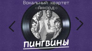 ВК Аккорд - Пингвины (альбом)