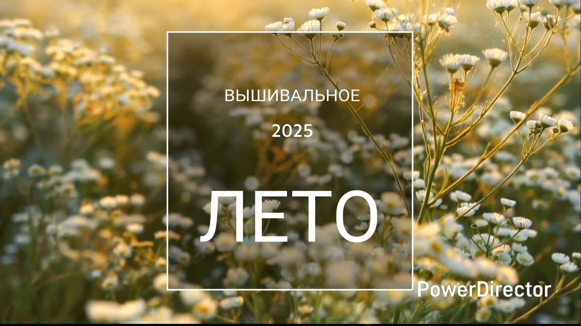 Вышивальное ЛЕТО/2025/ Вышивка/ Видеозарисовки смотреть онлайн